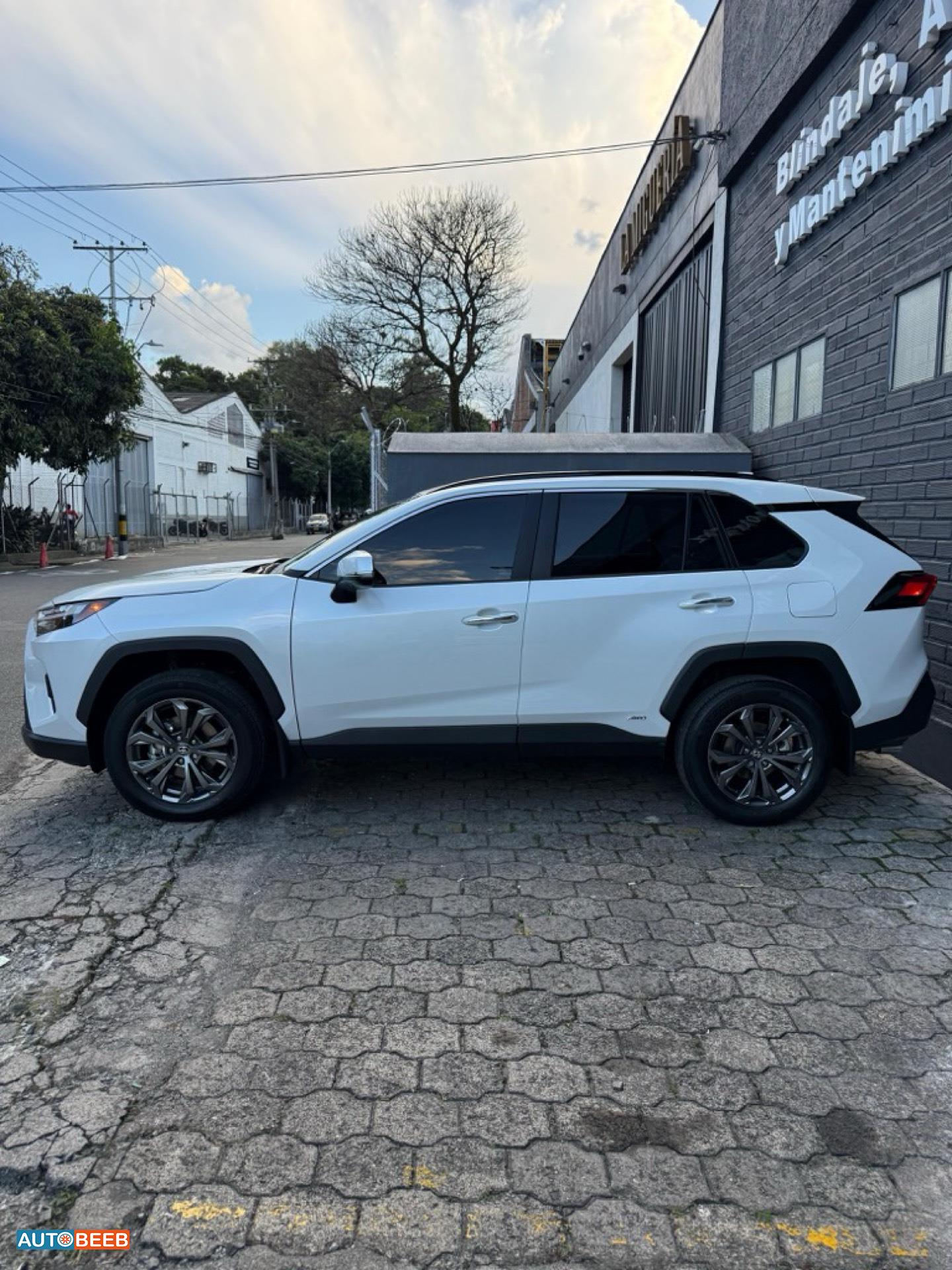 Toyota RAV4 2025