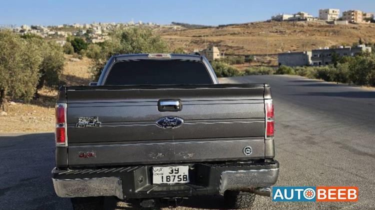 Ford F-150 2009