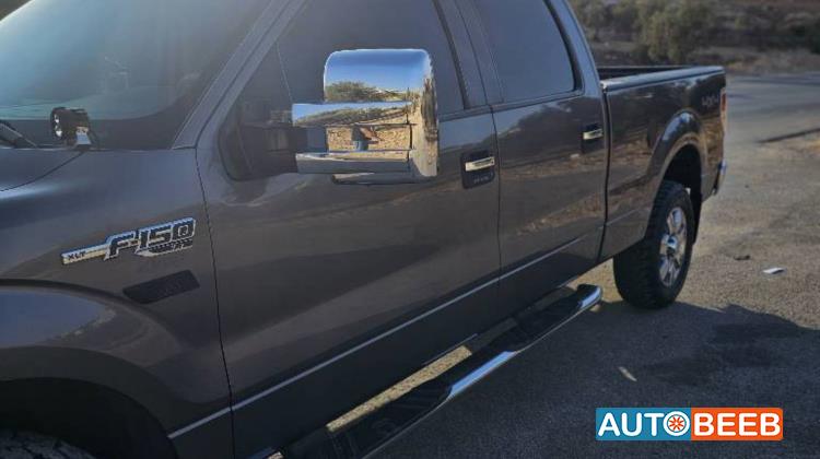 Ford F-150 2009