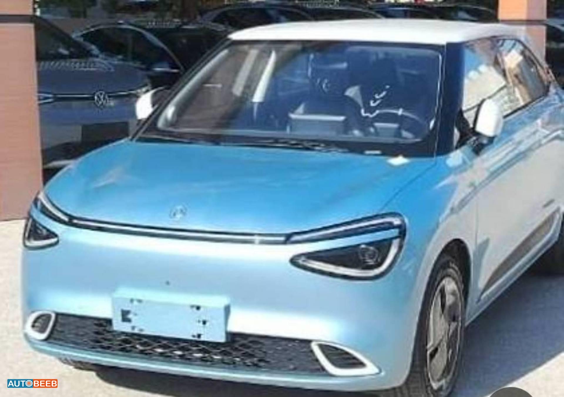  Complete car Dongfeng Nammi Box