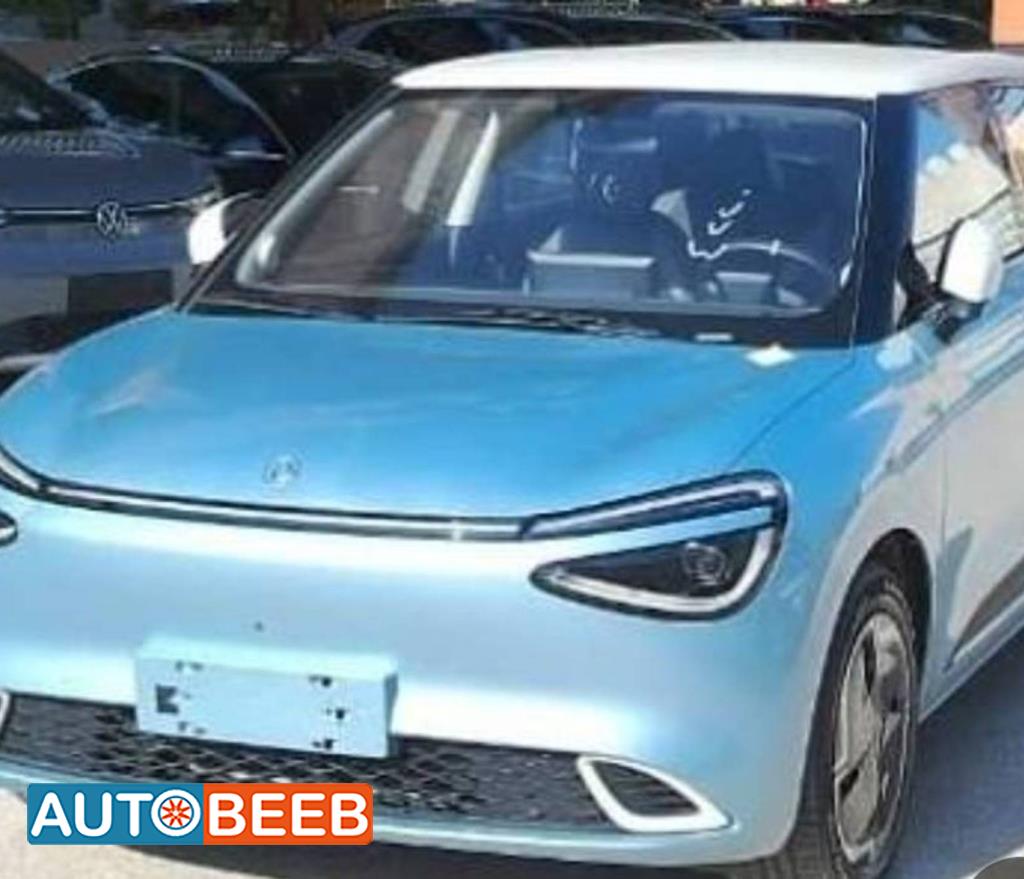  Complete car Dongfeng Nammi Box