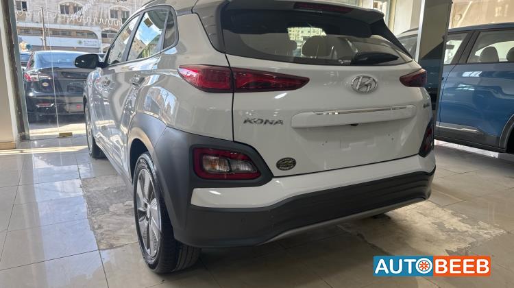 Hyundai kona 2019