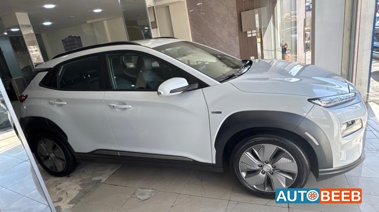 Hyundai kona 2019