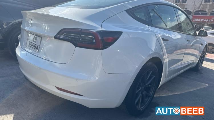 Tesla 3 2021
