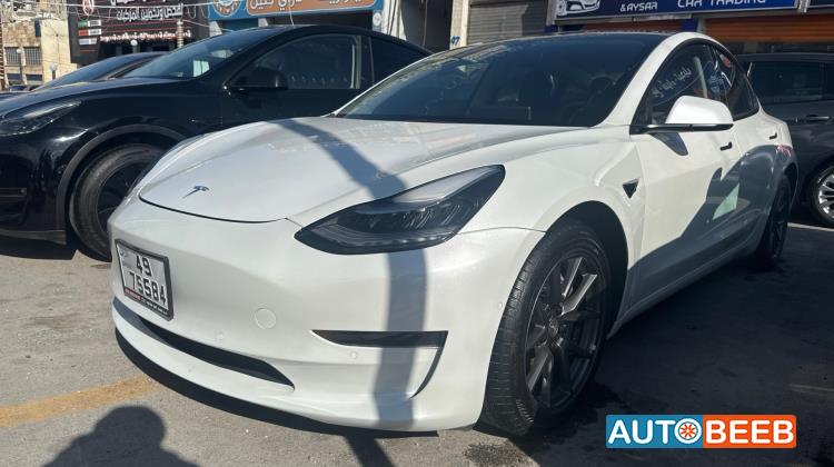 Tesla 3 2021