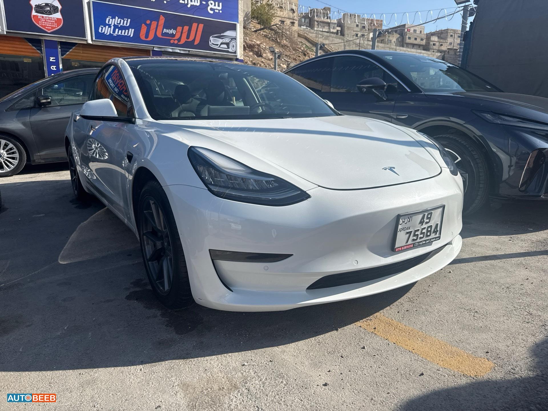 Tesla 3 2021