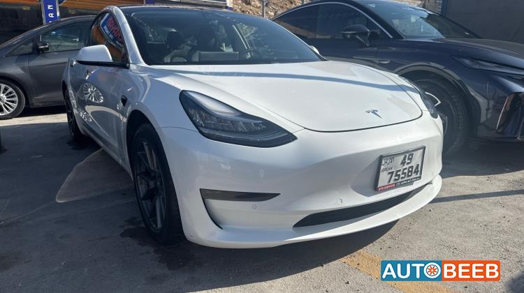 Tesla 3 2021