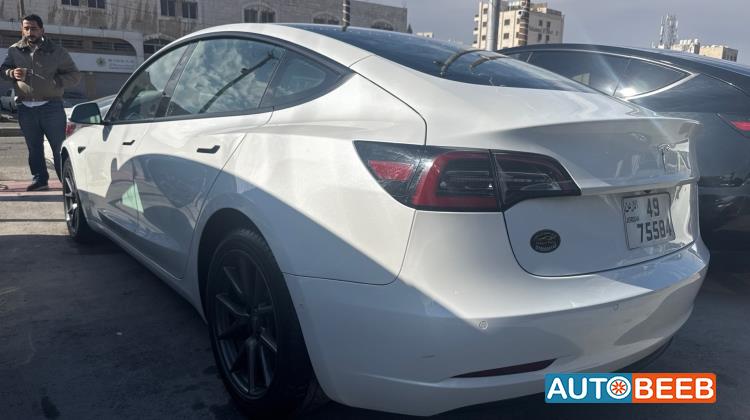 Tesla 3 2021