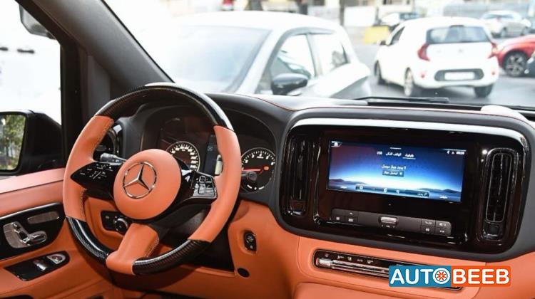 Minibus Mercedes Benz 2025