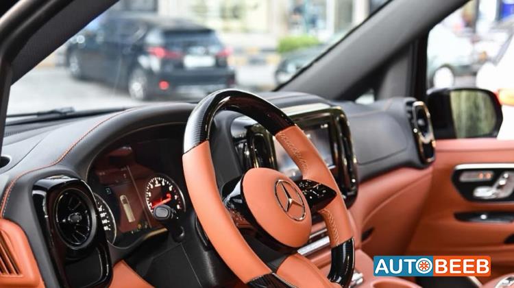 Minibus Mercedes Benz 2025