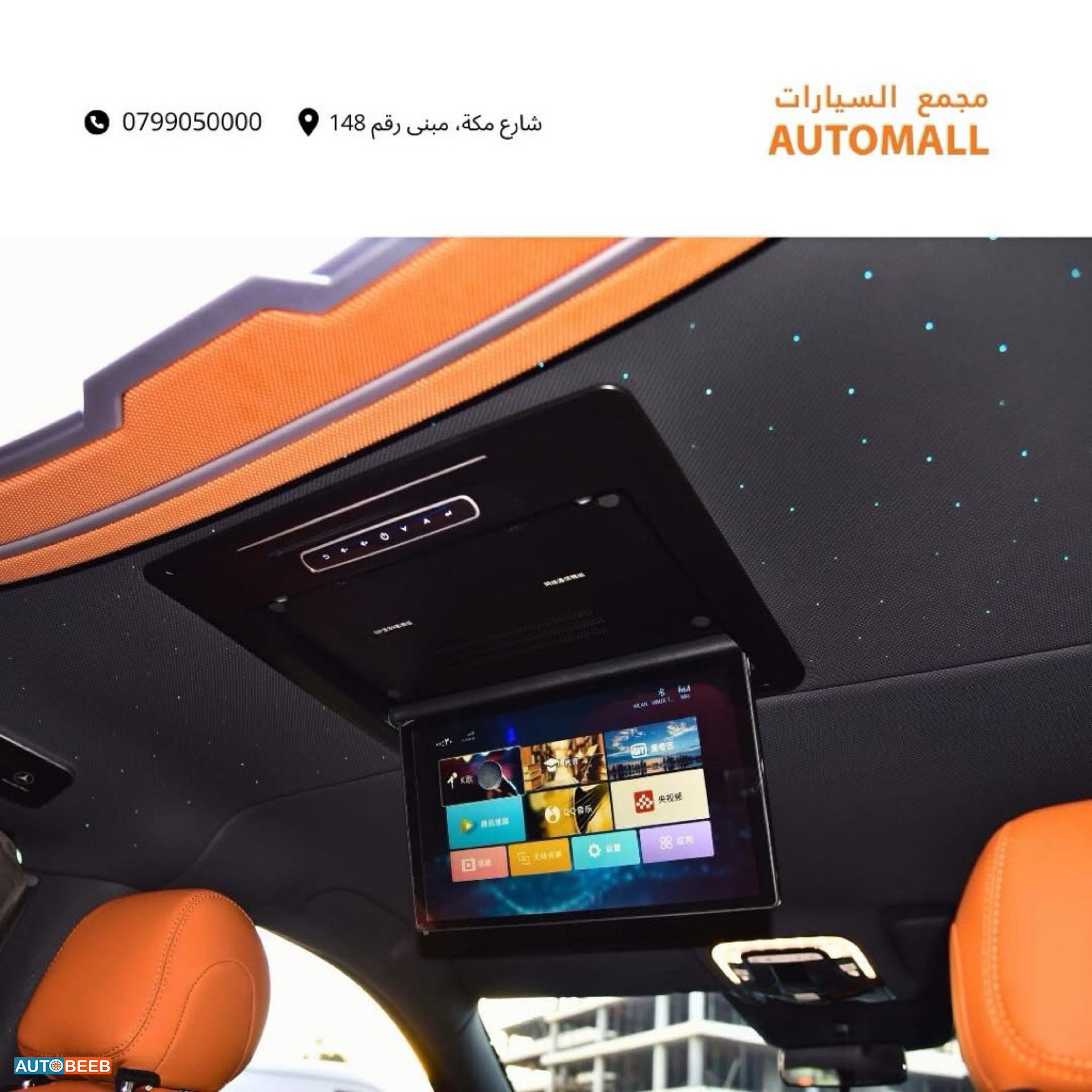 Minibus Mercedes Benz 2025