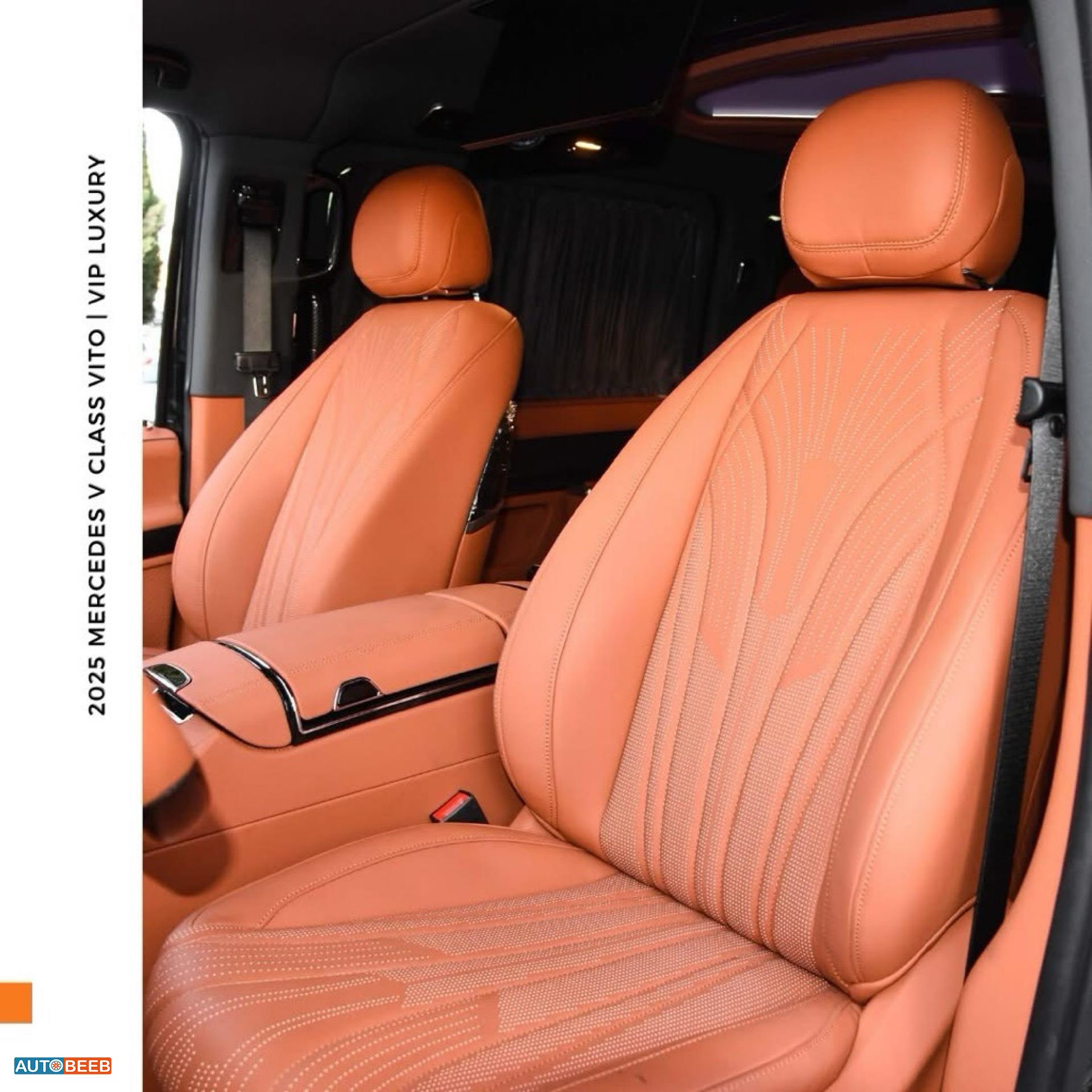 Minibus Mercedes Benz 2025