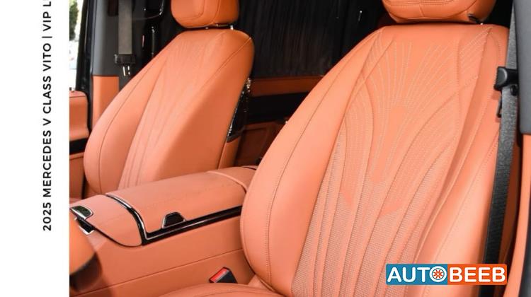 Minibus Mercedes Benz 2025