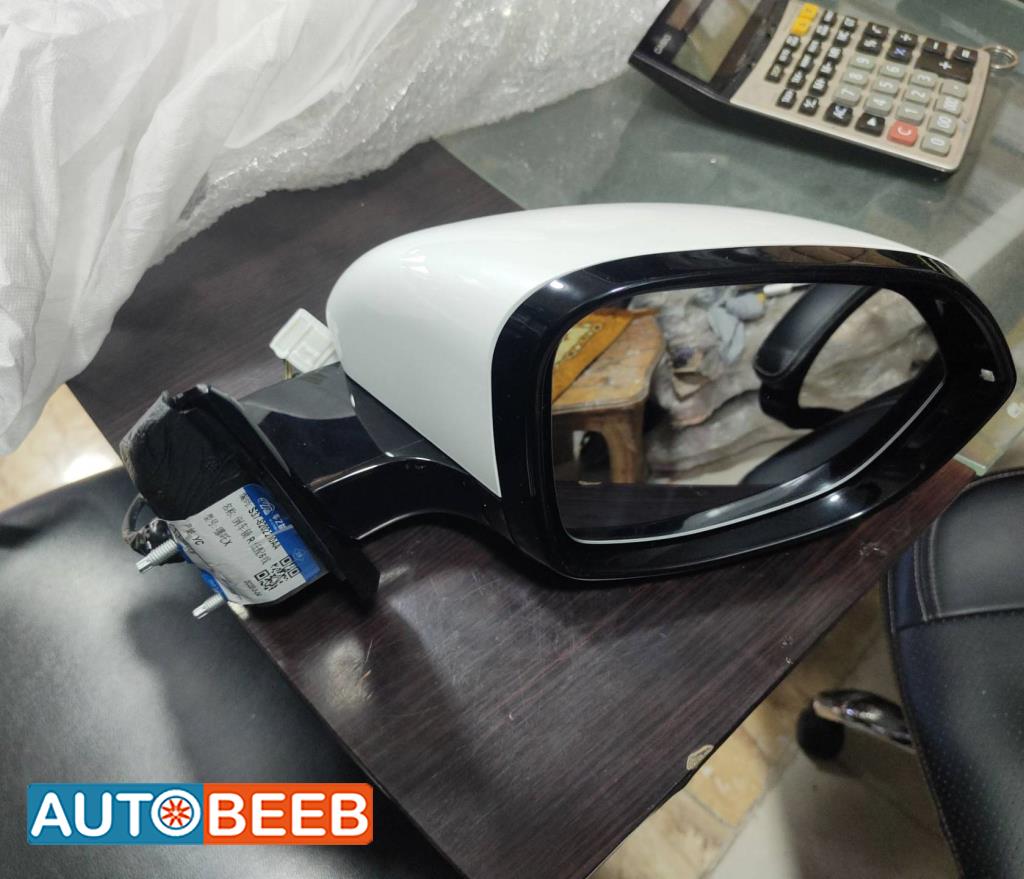 Body  Wing Mirror Neta U