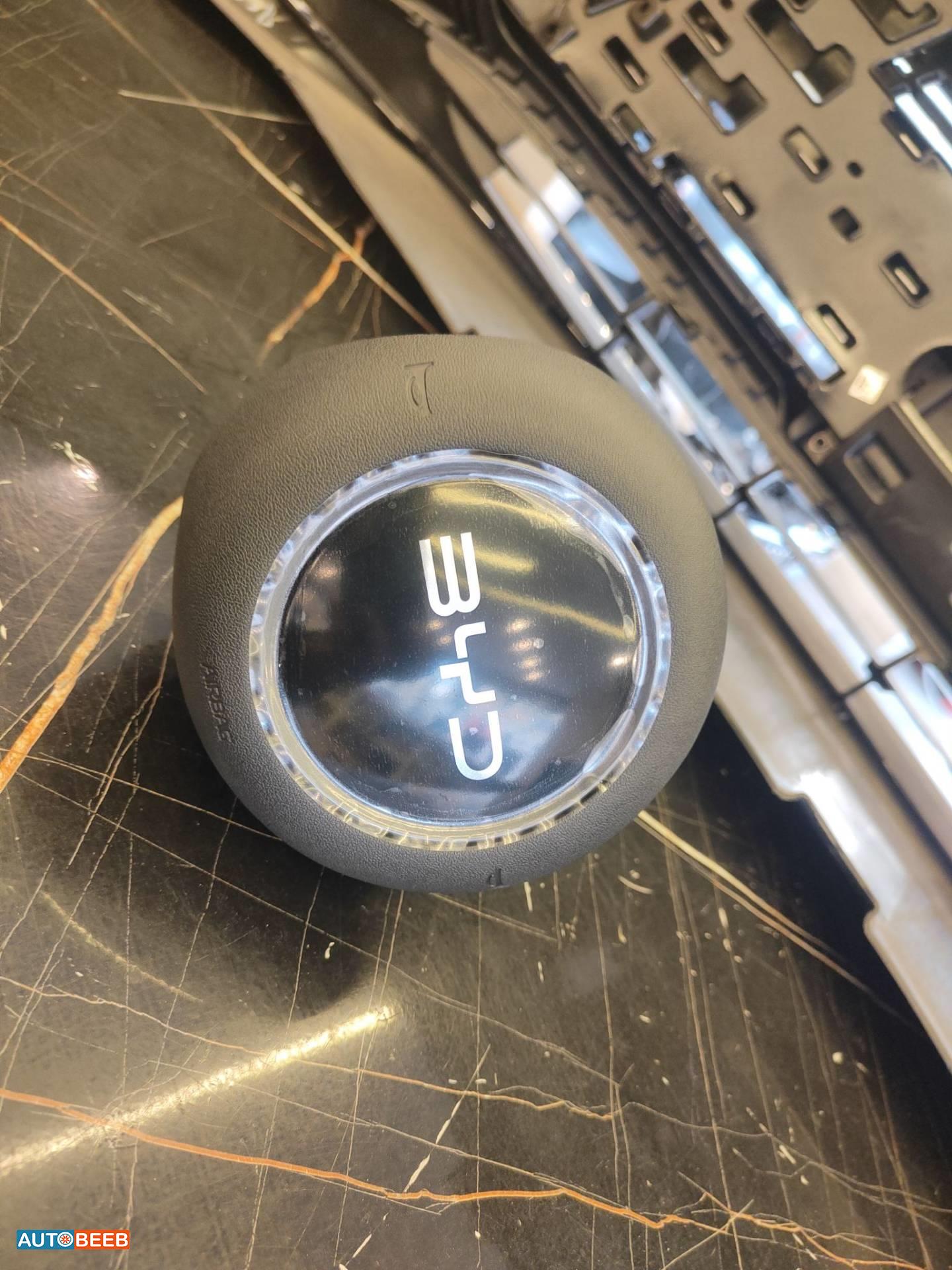 Cabin  Steering Wheel BYD Seagull