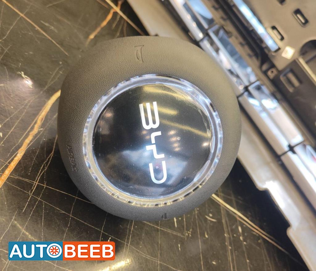 Cabin  Steering Wheel BYD Seagull