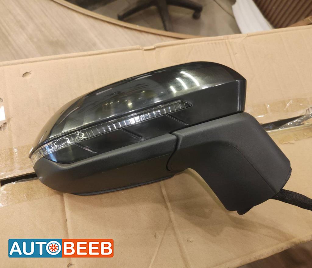 Body  Wing Mirror BYD Destroyer 05