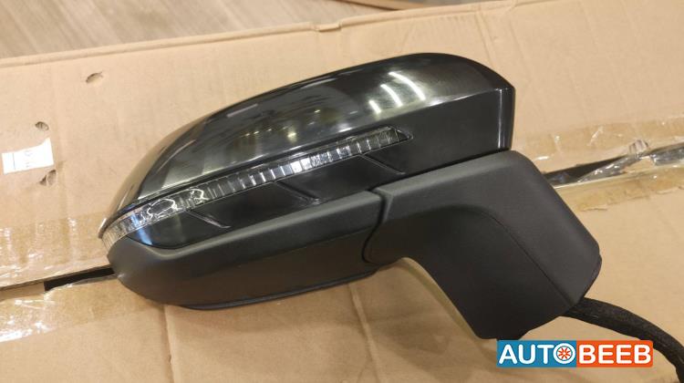 Body  Wing Mirror BYD Destroyer 05