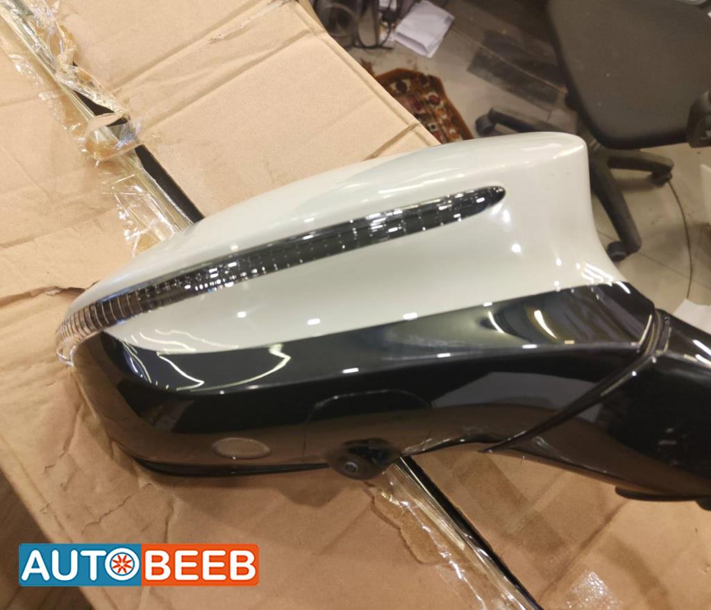 Body  Wing Mirror BYD Tang