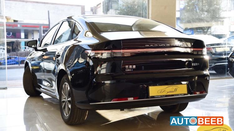 BYD Destroyer 05 2025