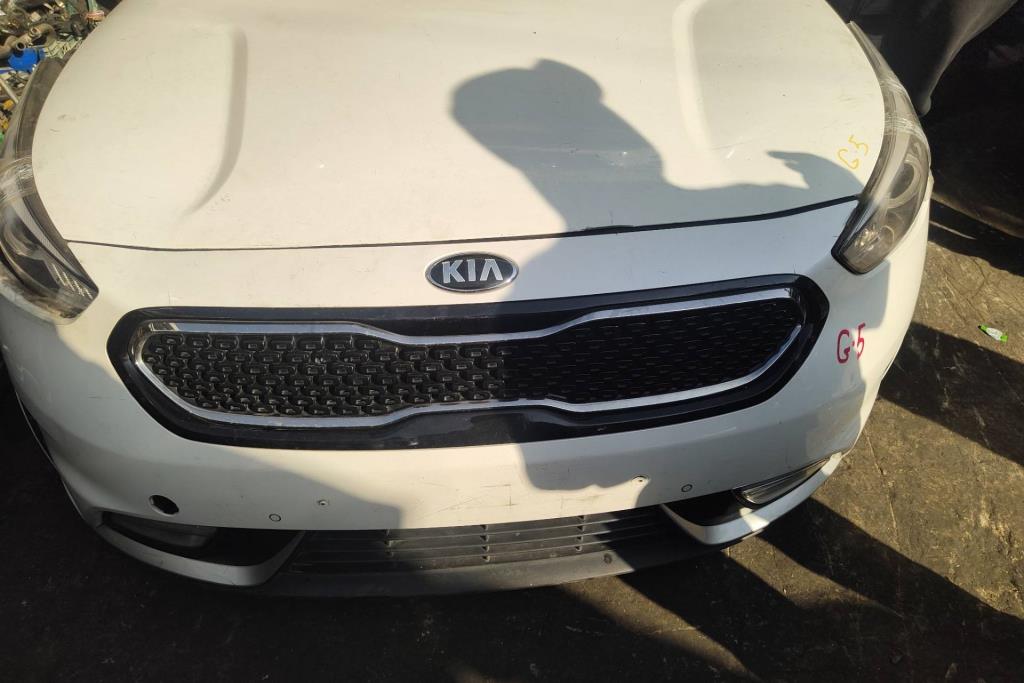 Body  Front clip KIA Niro