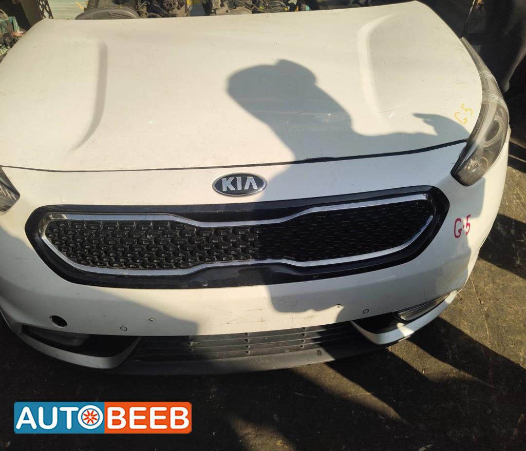 Body  Front clip KIA Niro
