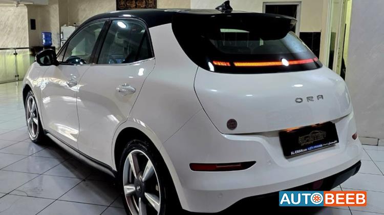 Great Wall ORA 2022