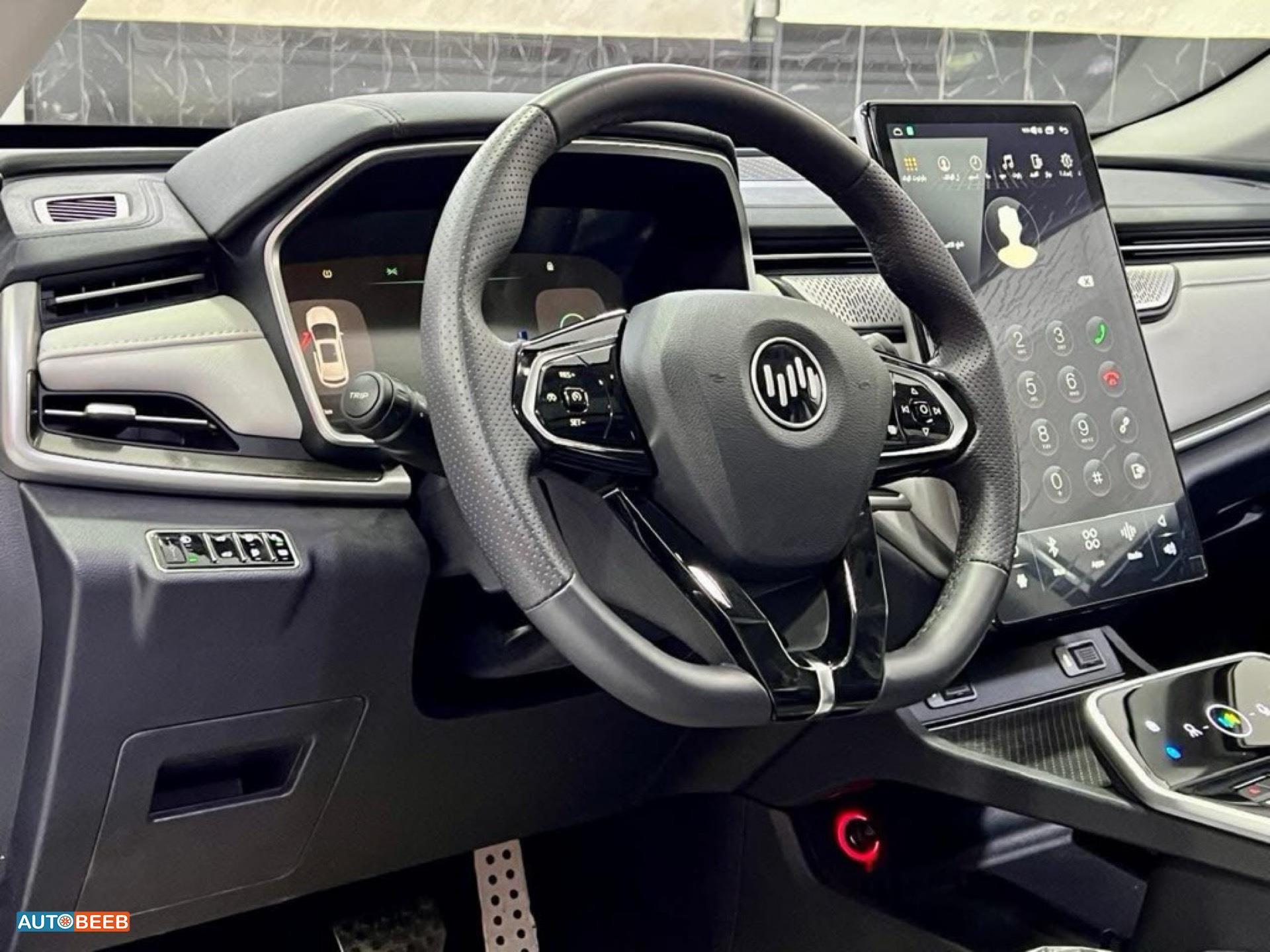 Weltmeister EX5 2023