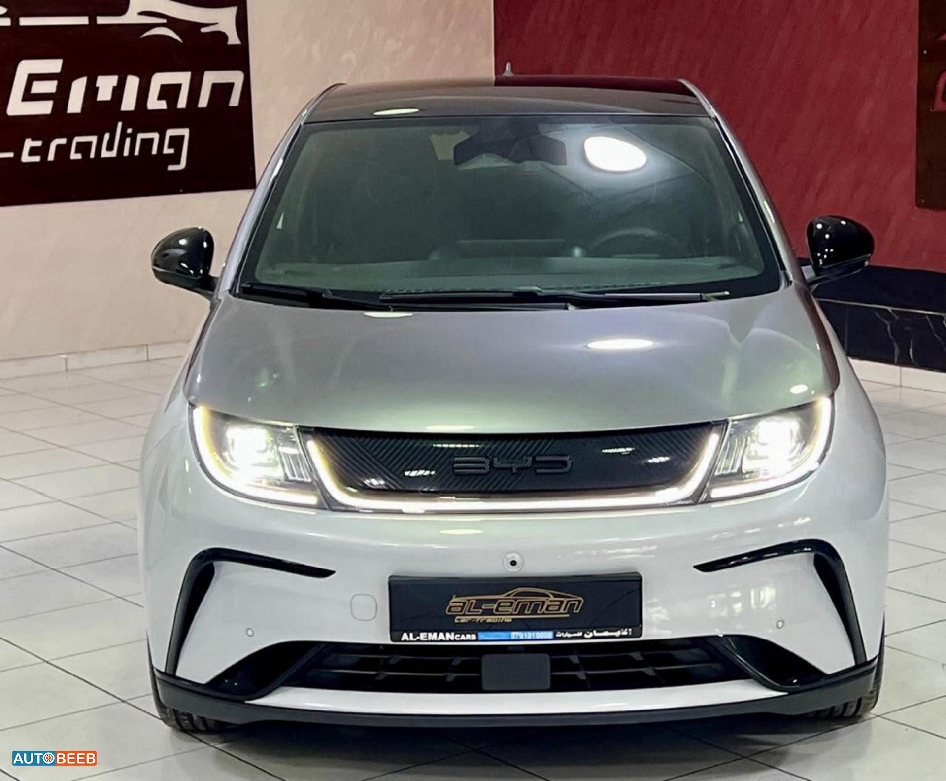 BYD Dolphin 2023