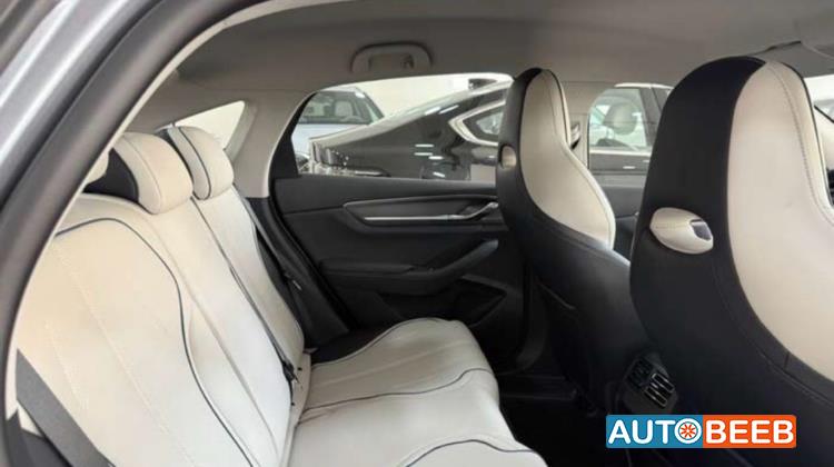 BYD Destroyer 05 2025