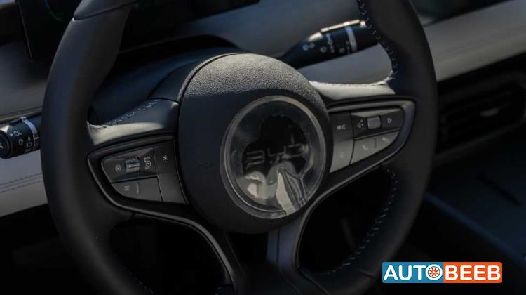 بي واي دي  2025