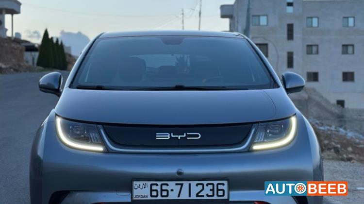 BYD Dolphin 2022