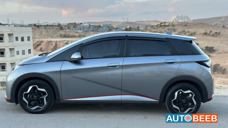 BYD Dolphin 2022