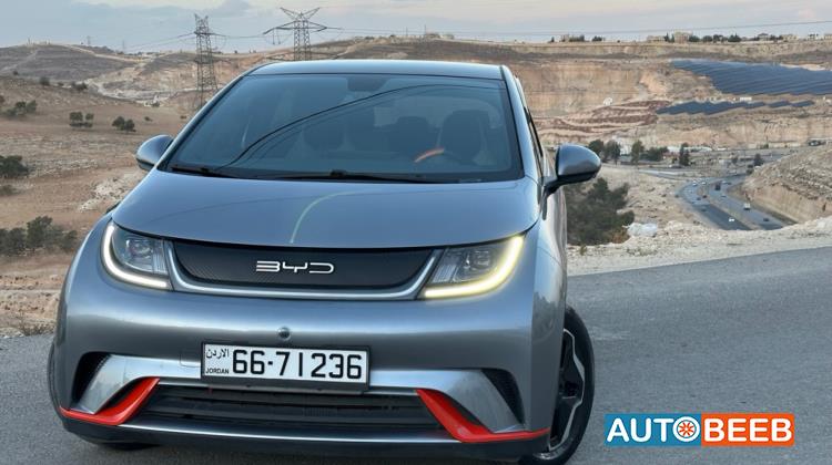BYD Dolphin 2022