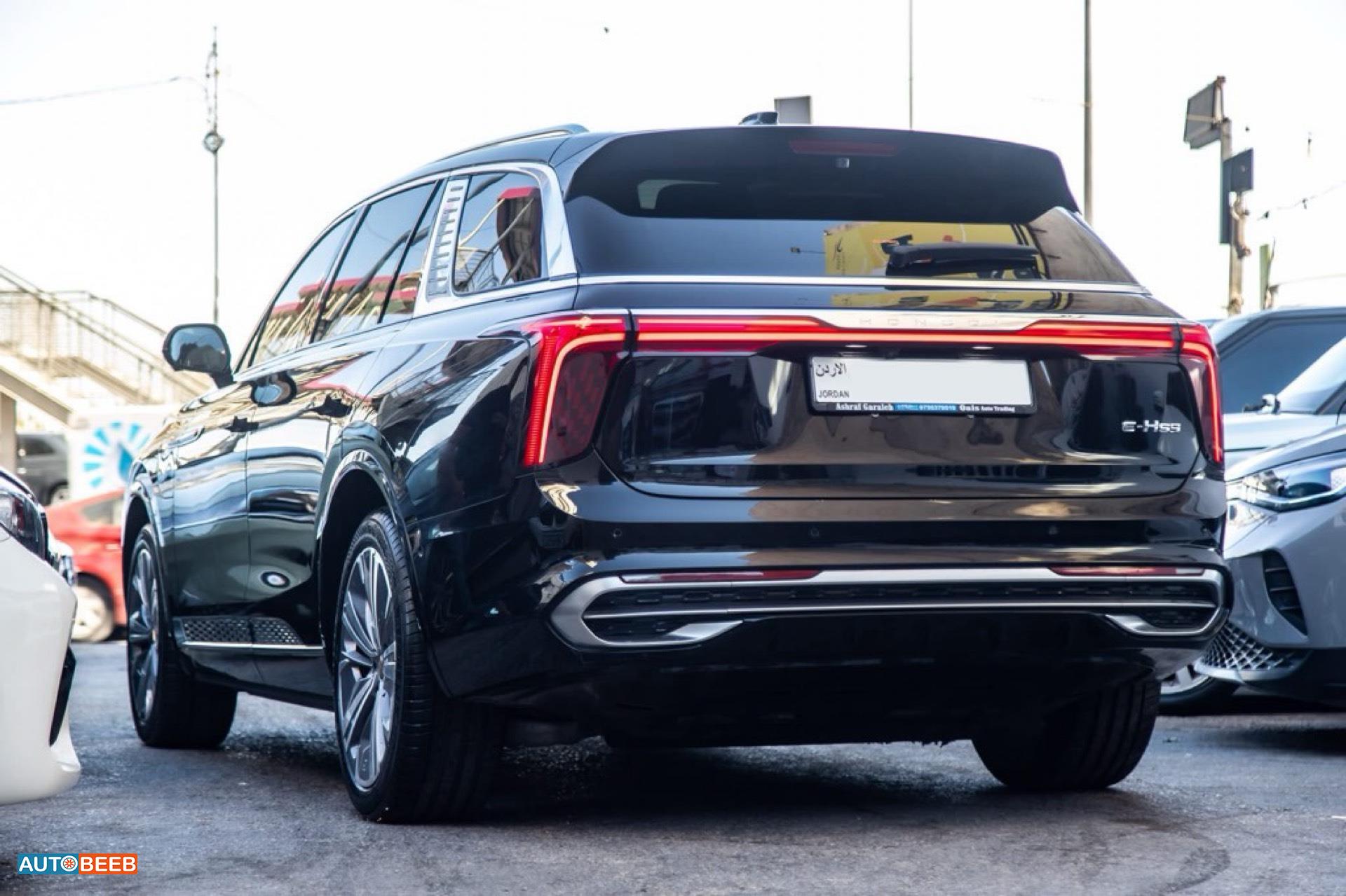 Hongqi E-HS9 2025