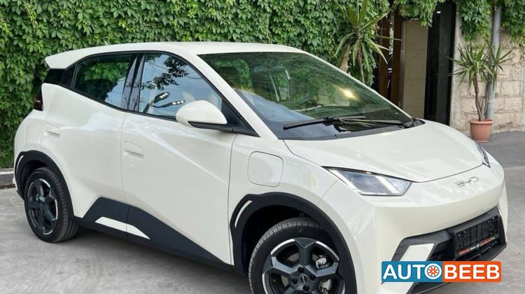 BYD Seagull 2023
