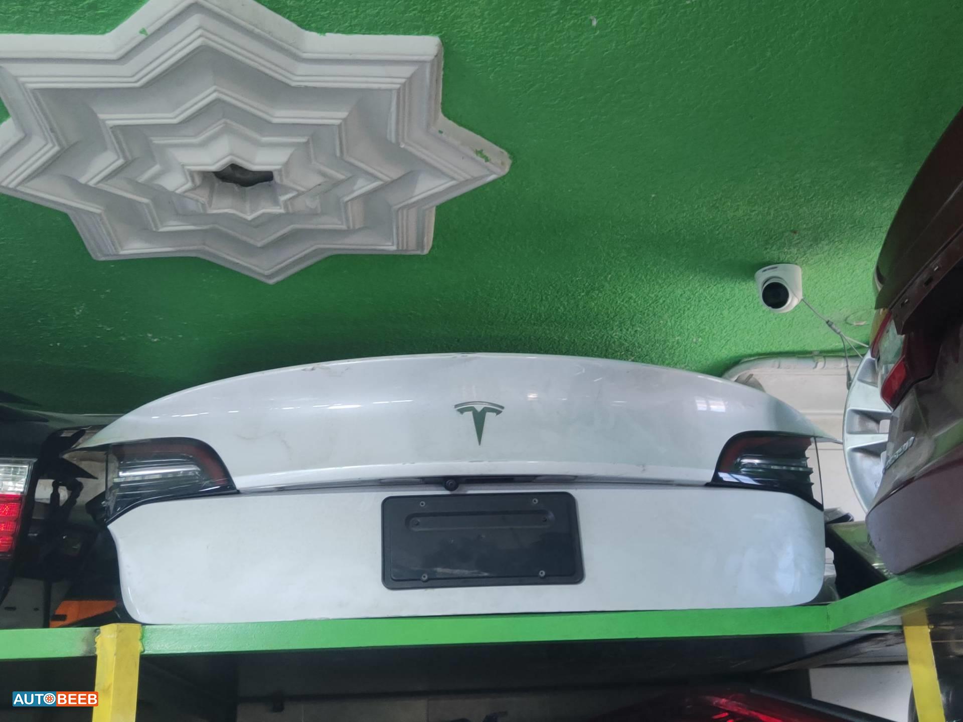 Body  Trunk Tesla 3