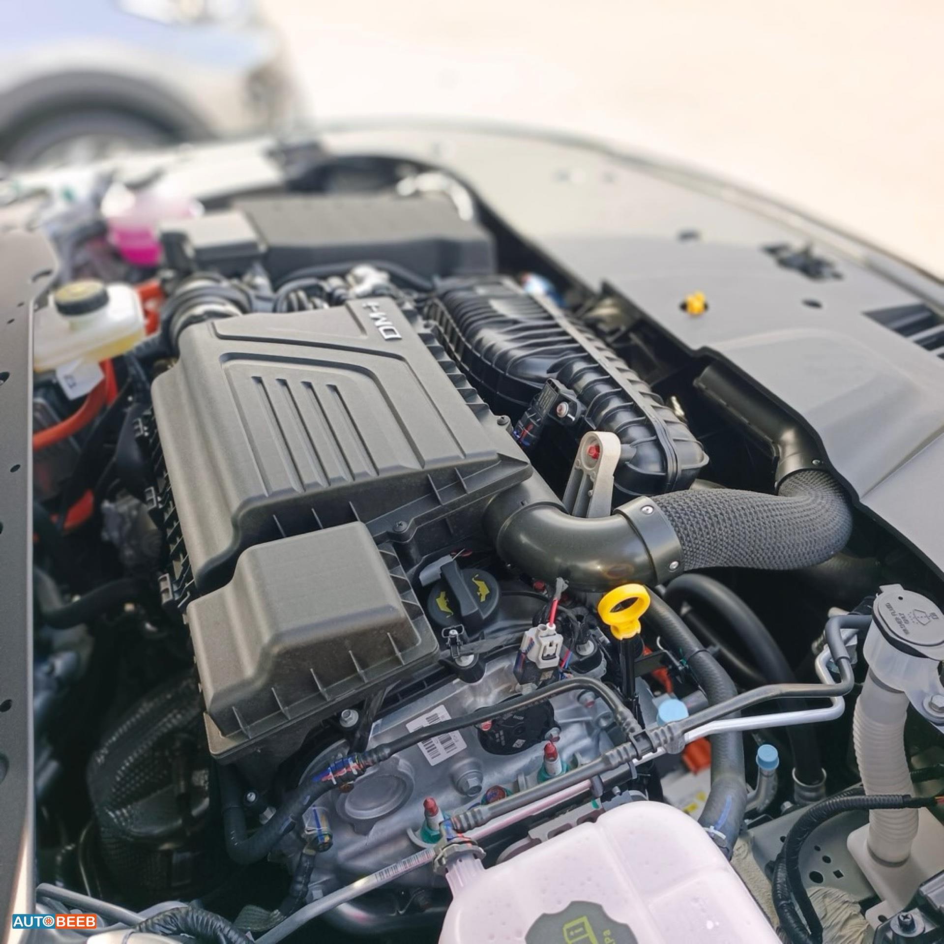 BYD Destroyer 05 2025