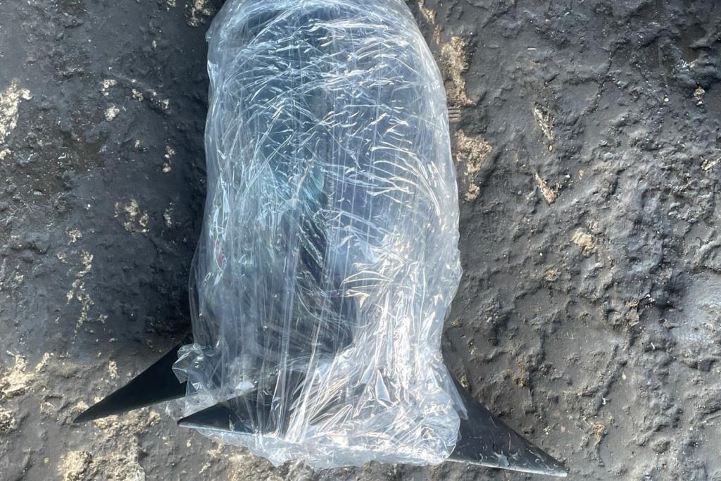 Body  Wing Mirror Opel Vectra