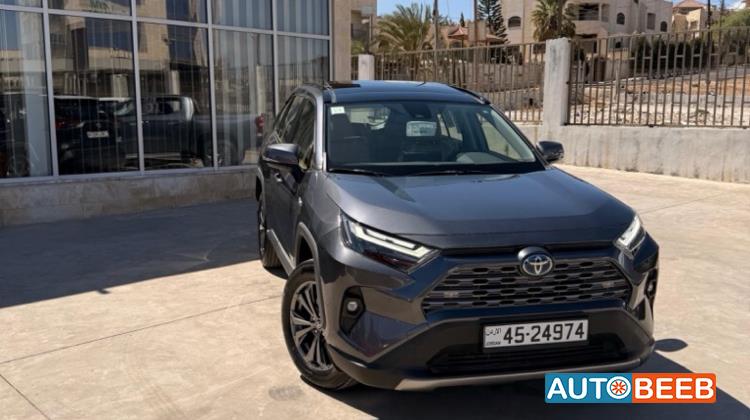 Toyota RAV4 2024