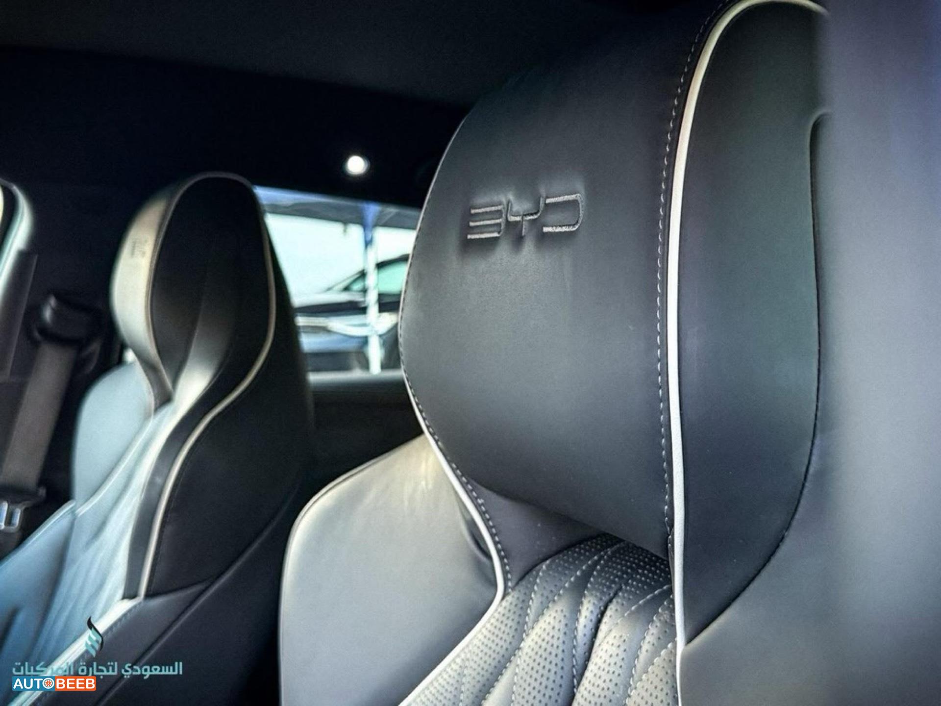 بي واي دي سيل 2023