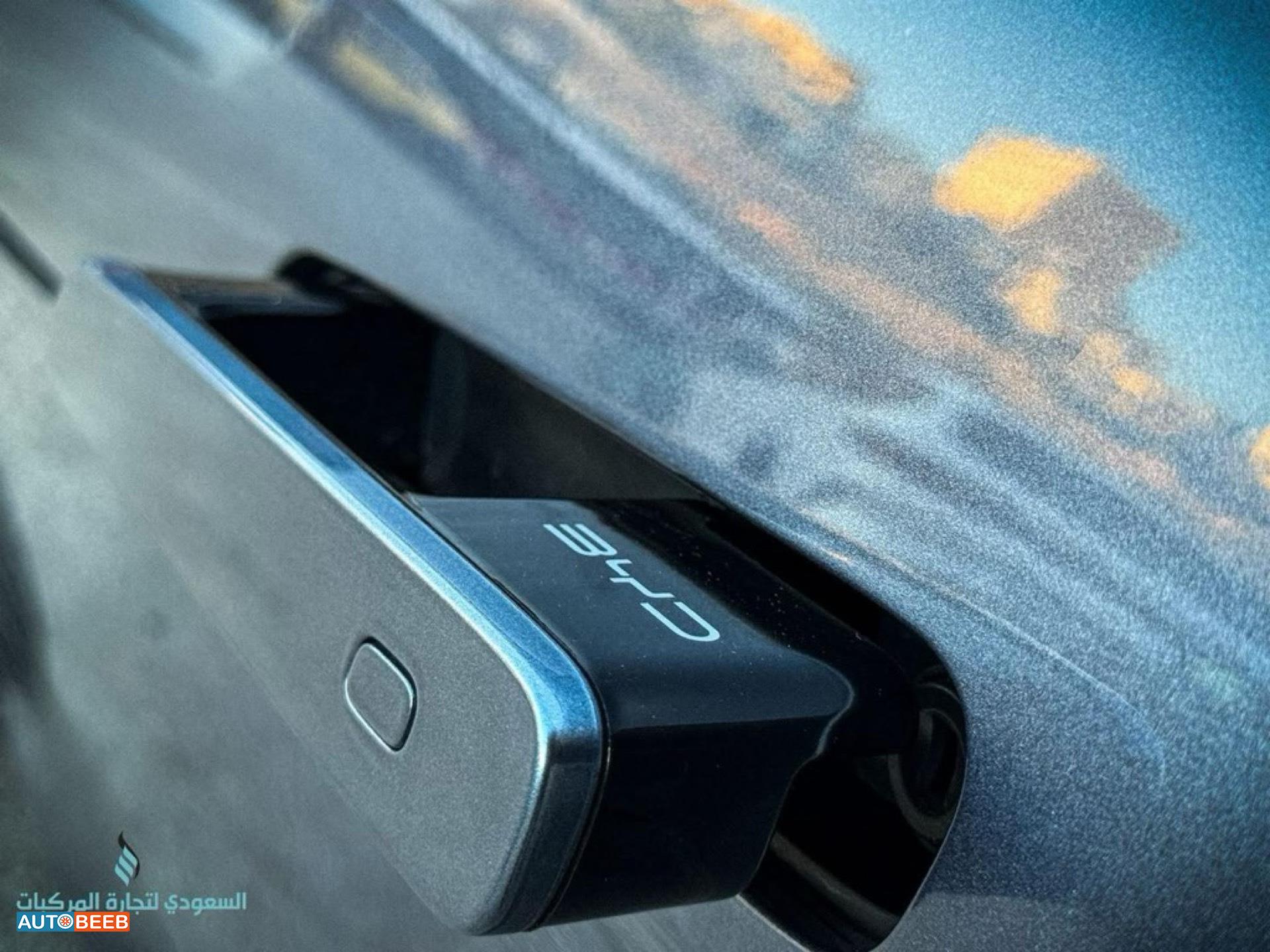 بي واي دي سيل 2023