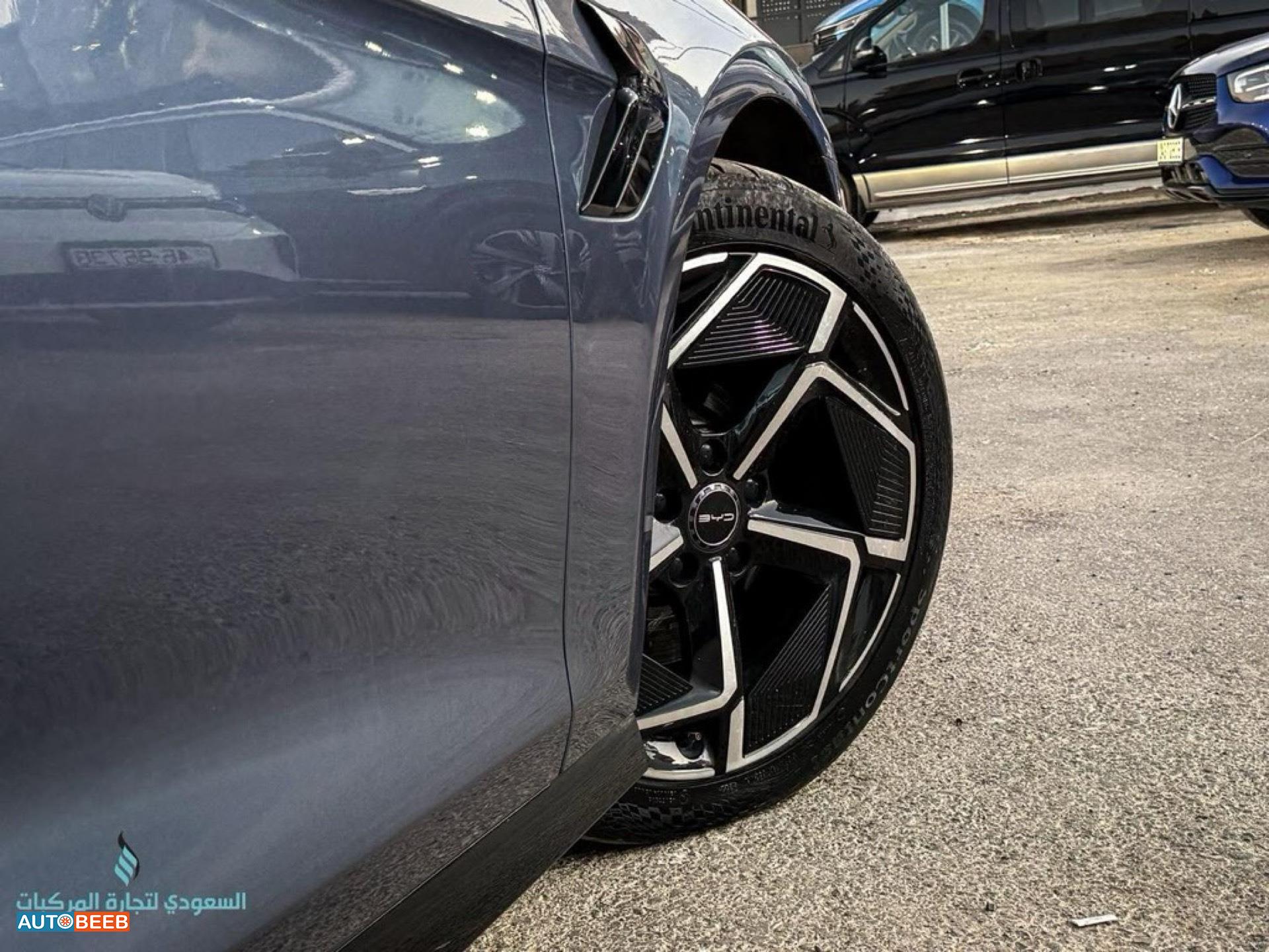 بي واي دي سيل 2023