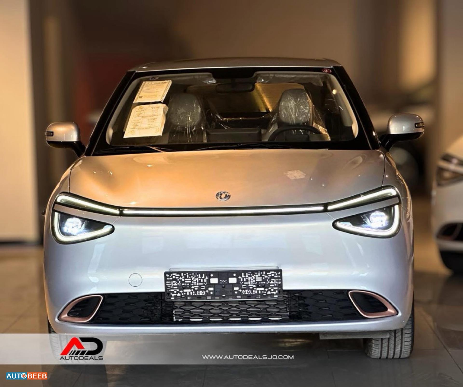 Dongfeng Nammi Box 2025