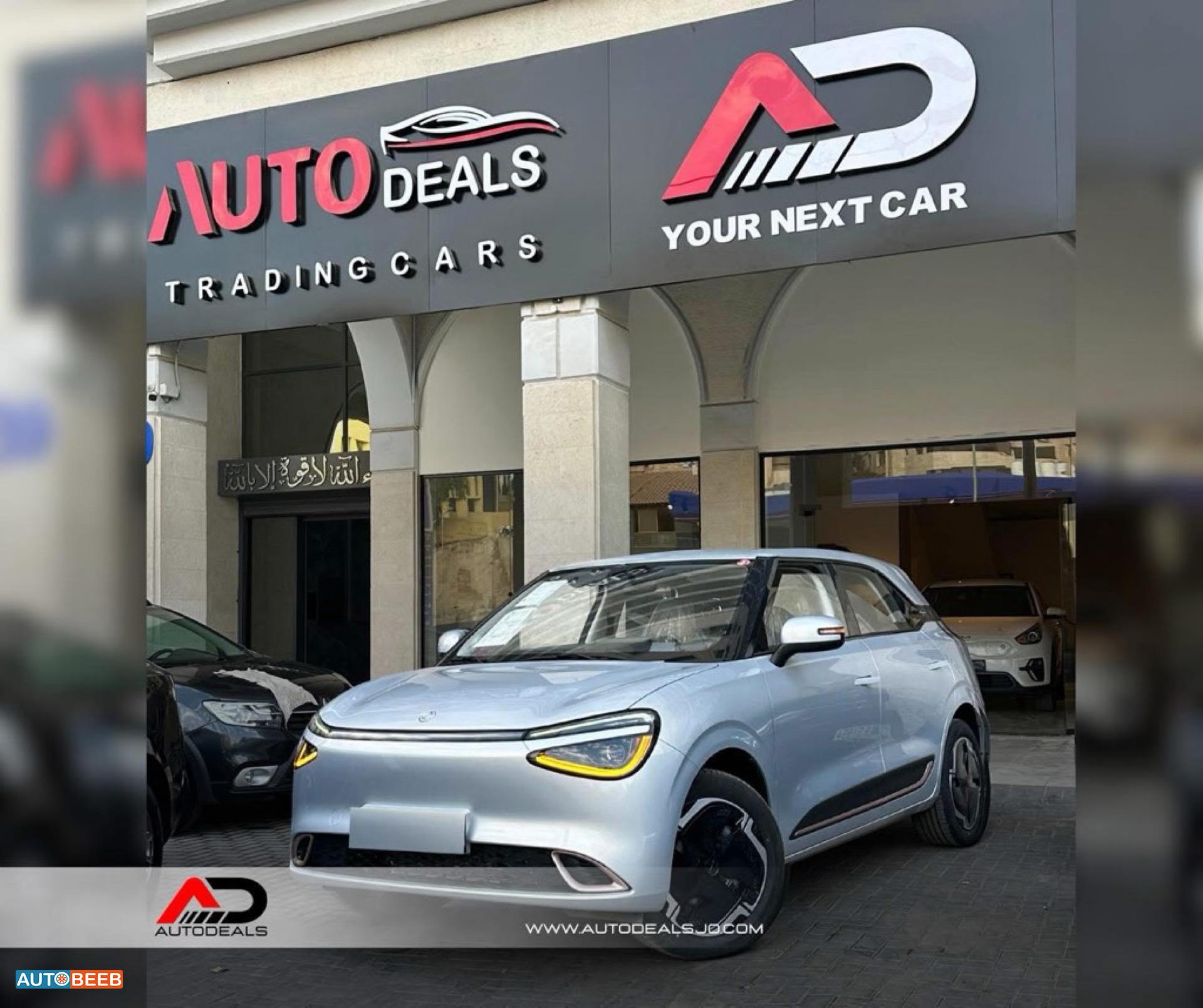 Dongfeng Nammi Box 2025