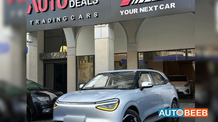 Dongfeng Nammi Box 2025