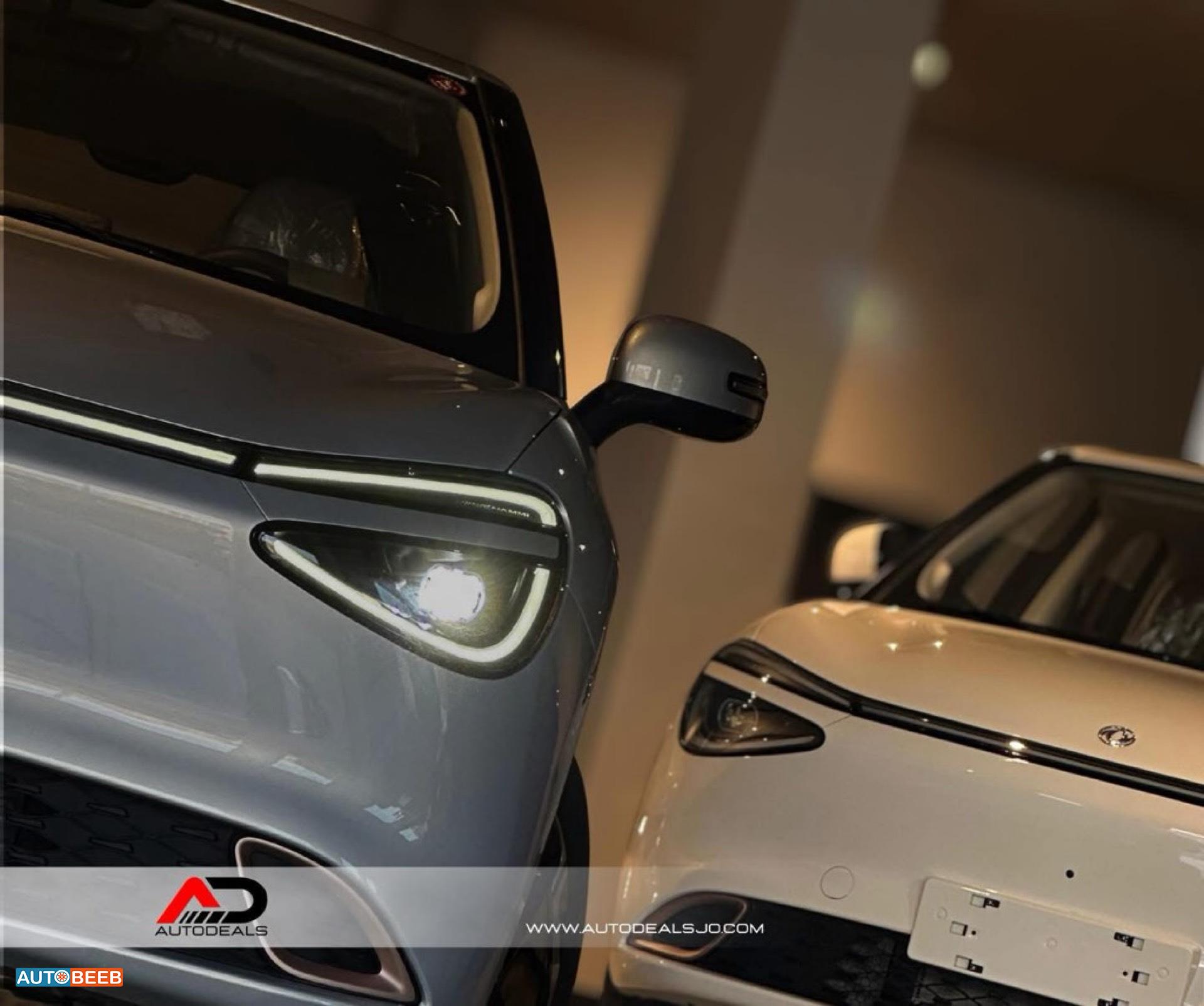 Dongfeng Nammi Box 2025