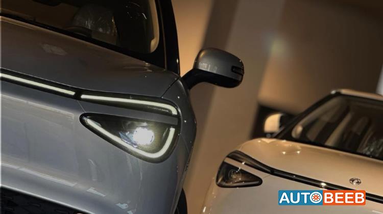 Dongfeng Nammi Box 2025