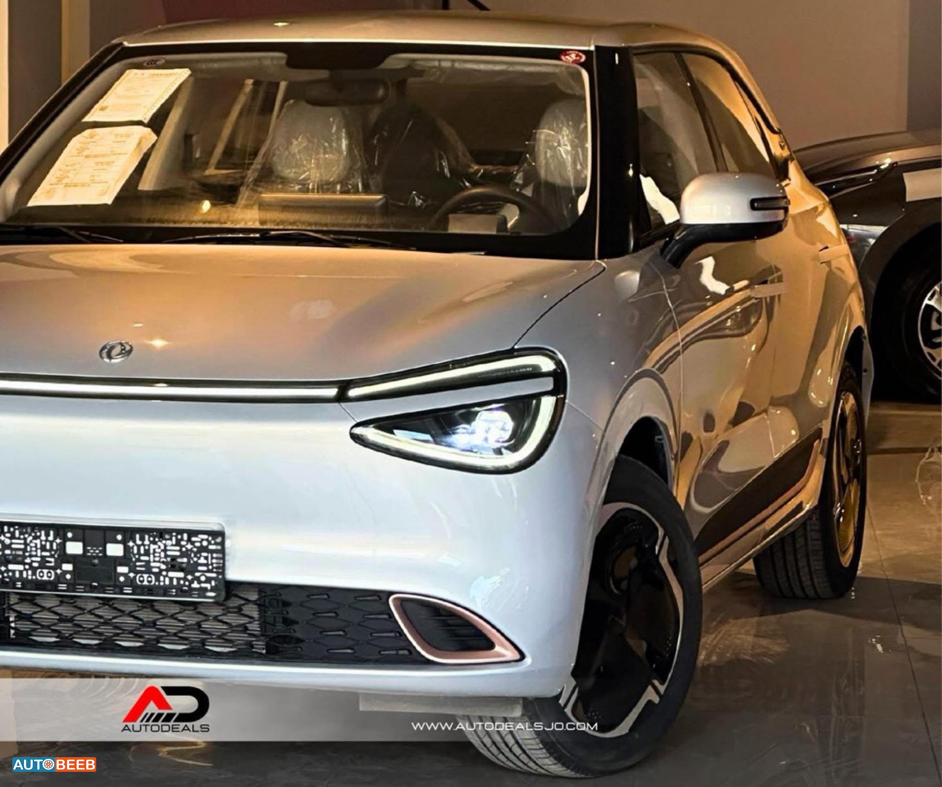 Dongfeng Nammi Box 2025