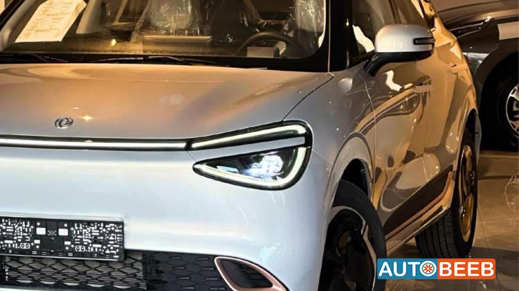 Dongfeng Nammi Box 2025